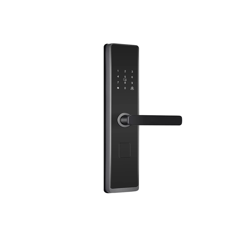 集中式公寓智能门锁